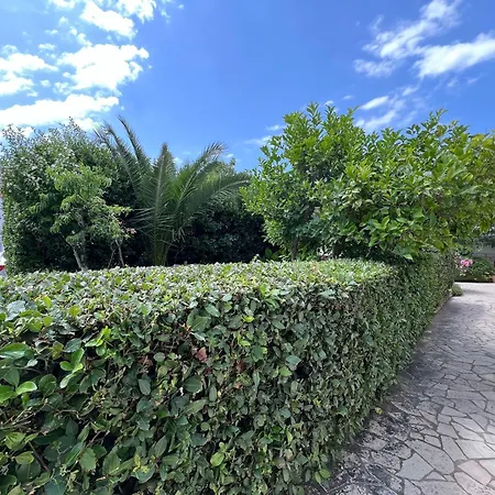 Апартаменты Apartaments Oma & Opa Банёл